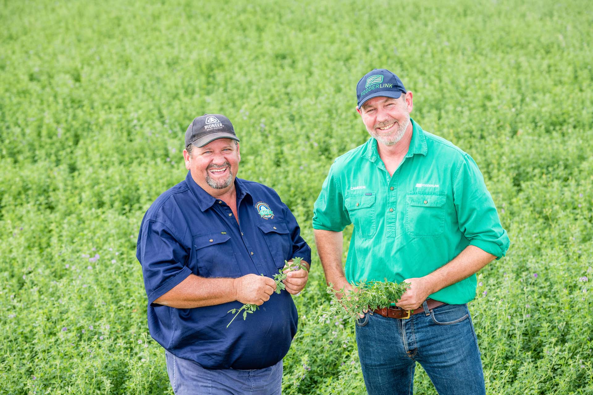 Sourcing-Fodder-And-Roughage-Page-Option-2