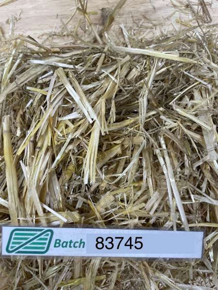 Batch 6634968000171788140 Image