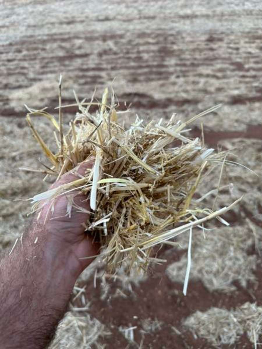 Batch 6634968000171788140 Image