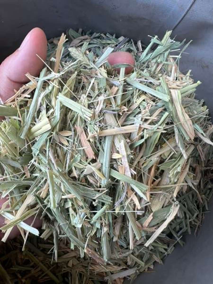 Batch 6634968000178188007 Image