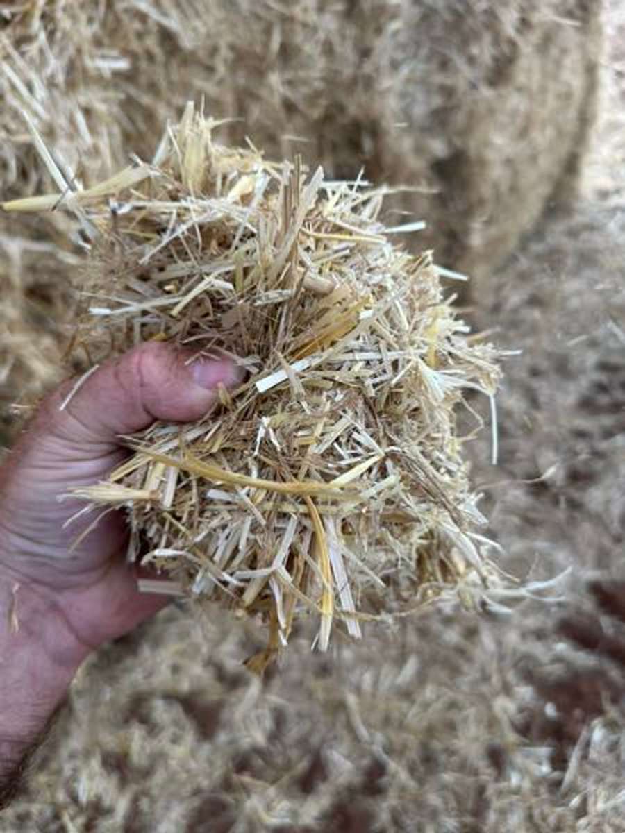 Batch 6634968000171788140 Image