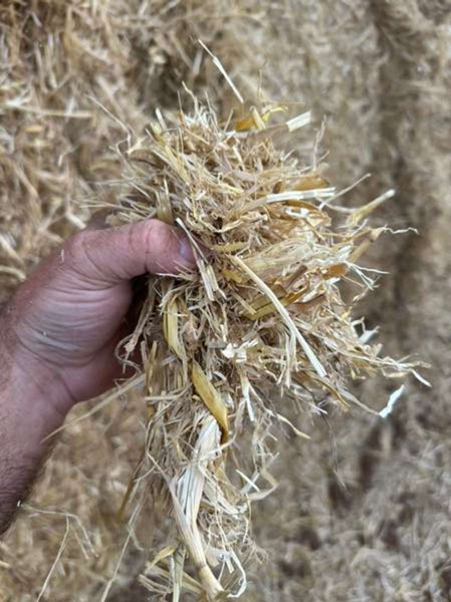 Batch 6634968000171788140 Image