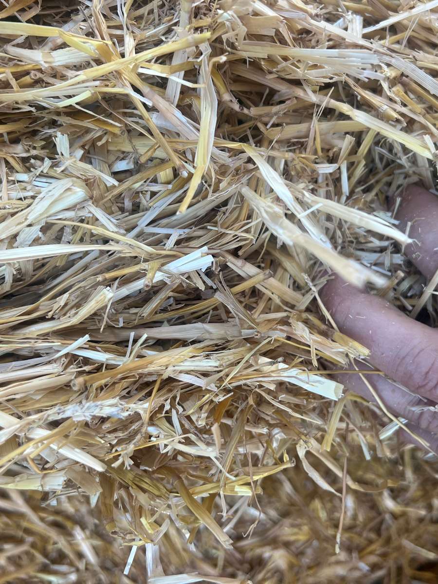 Batch 6634968000169844063 Image