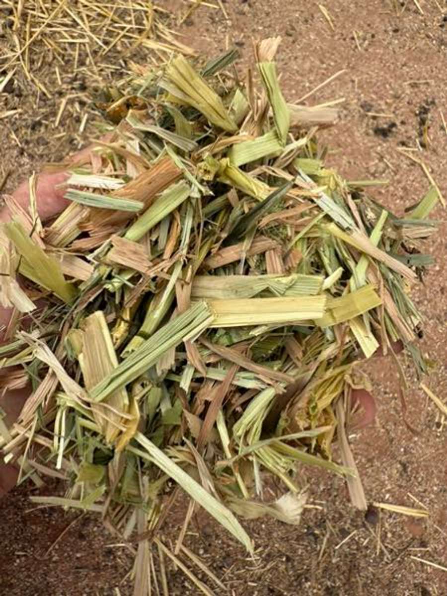 Batch 6634968000169475024 Image