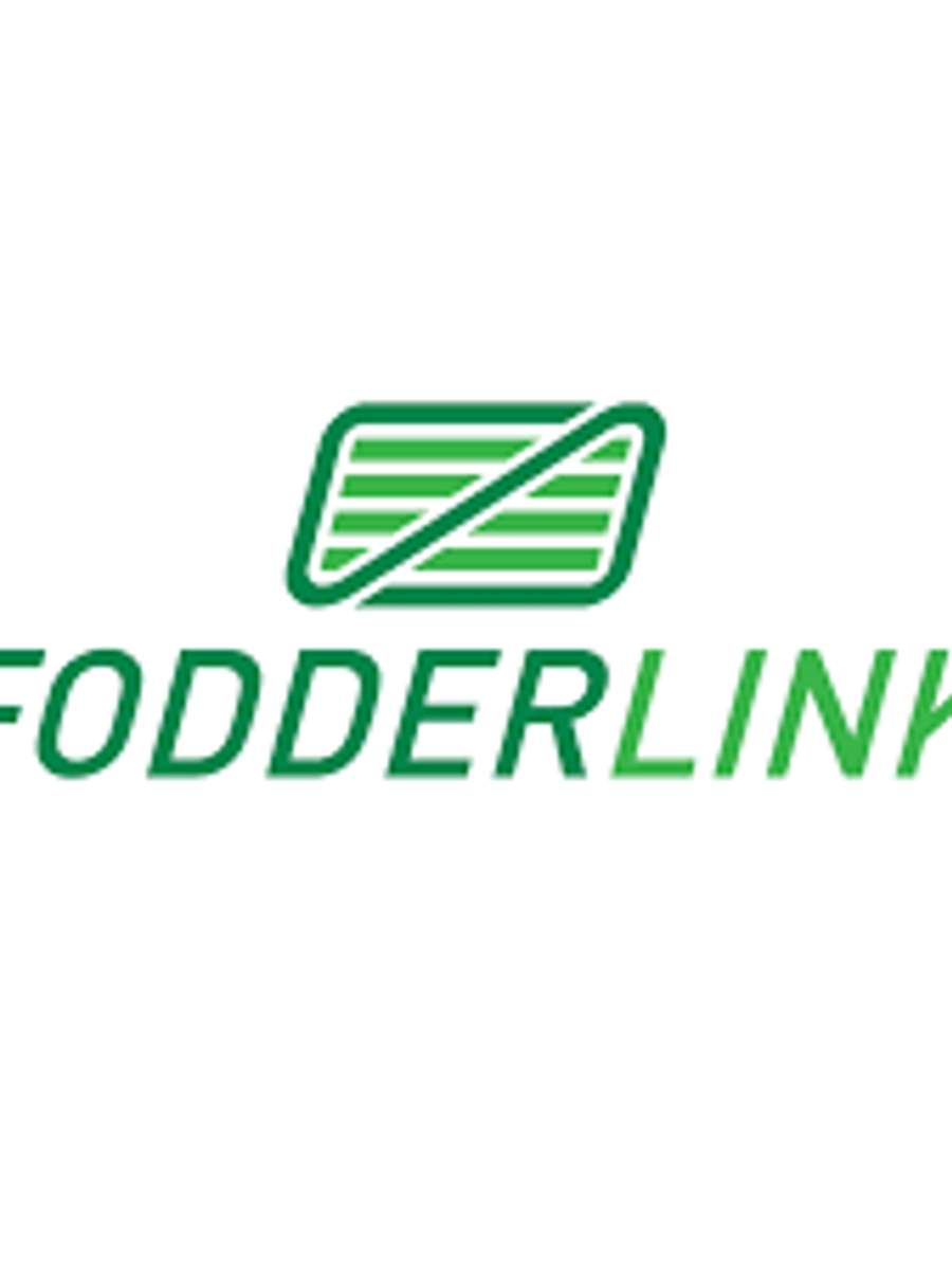 Batch 6634968000178188007 Image