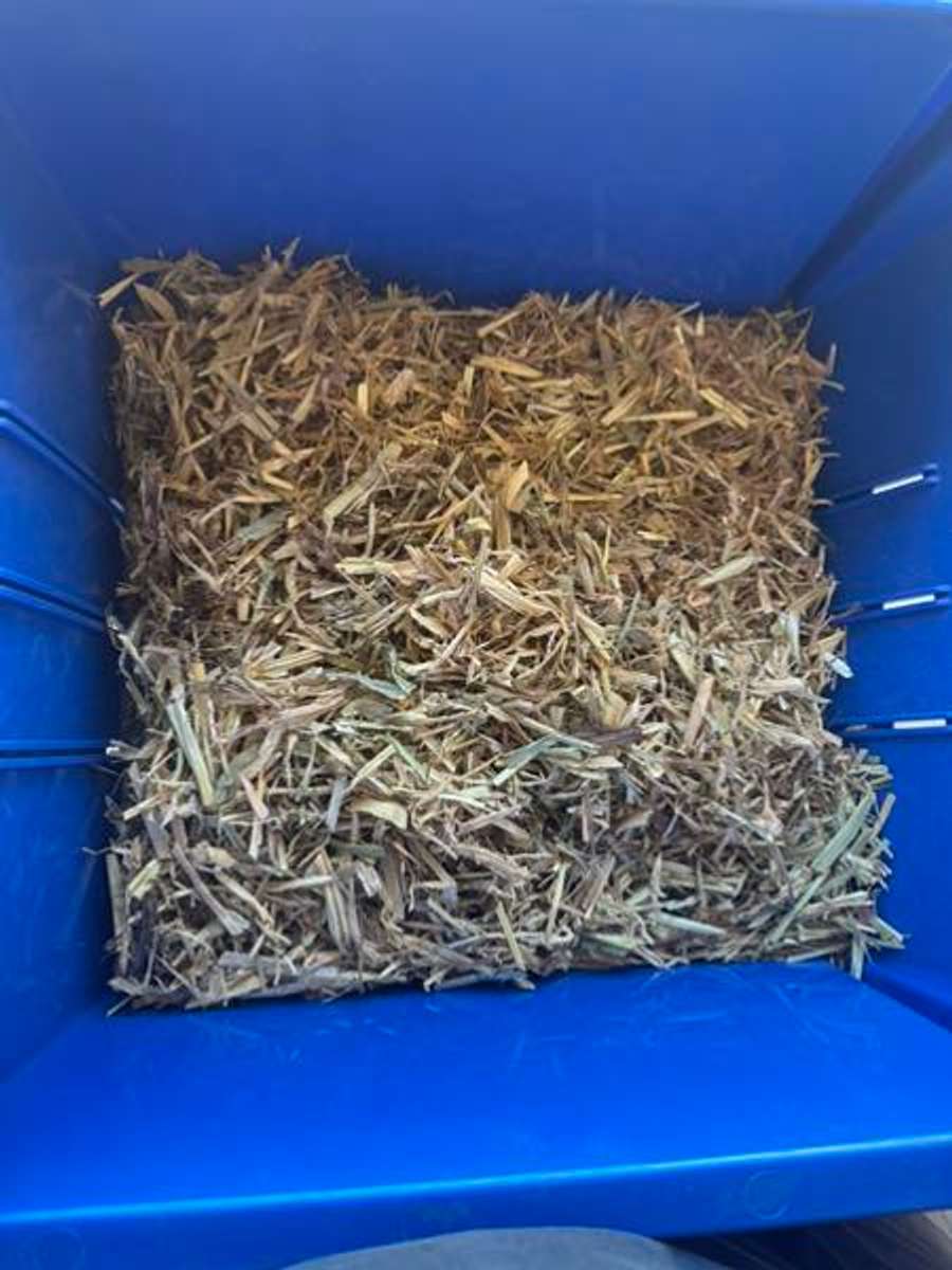 Batch 6634968000170679021 Image