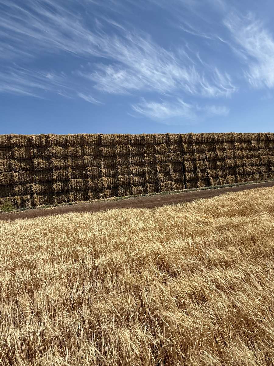 Batch 6634968000169843337 Image