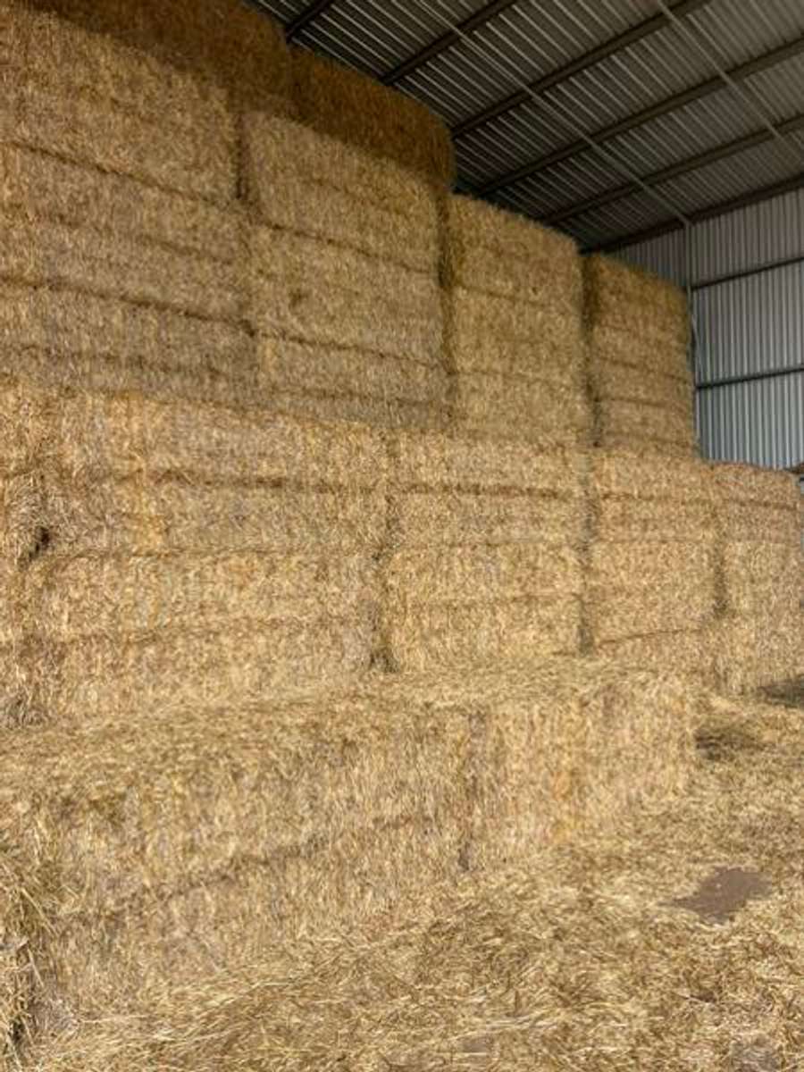 Batch 6634968000170360050 Image