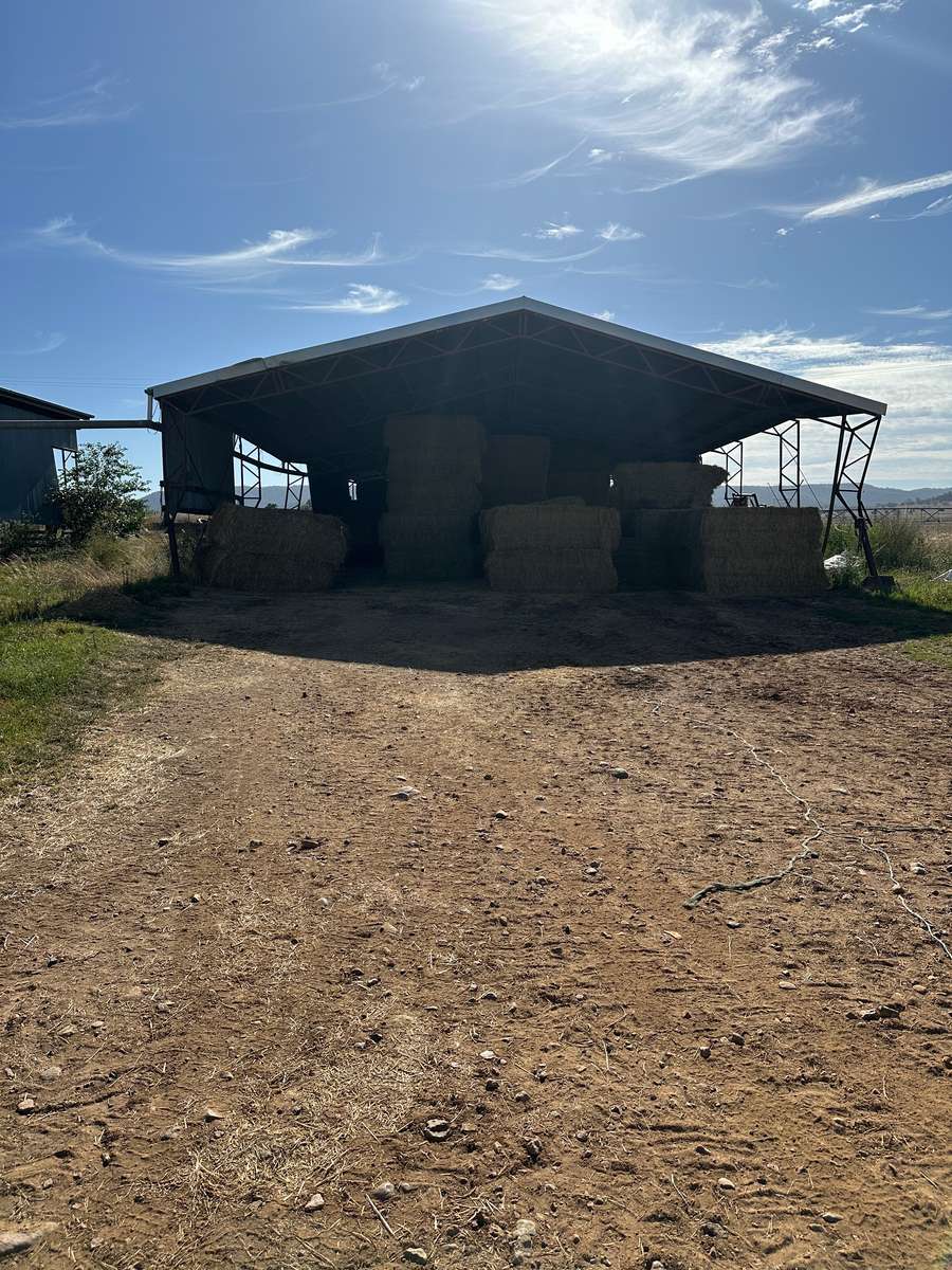 Batch 6634968000180317048 Image